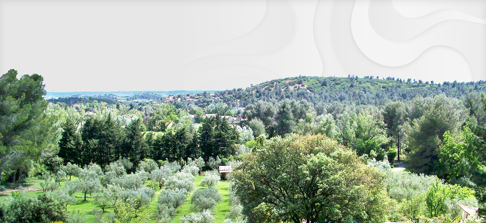 SOMECO IMMOBILIER SOMECO IMMOBILIER