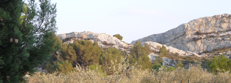 SOMECO IMMOBILIER SOMECO IMMOBILIER